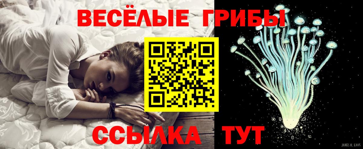 Псилоцибиновые грибы MAGIC MUSHROOMS Новоалтайск